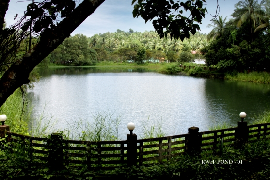 Rainwater Harvesting